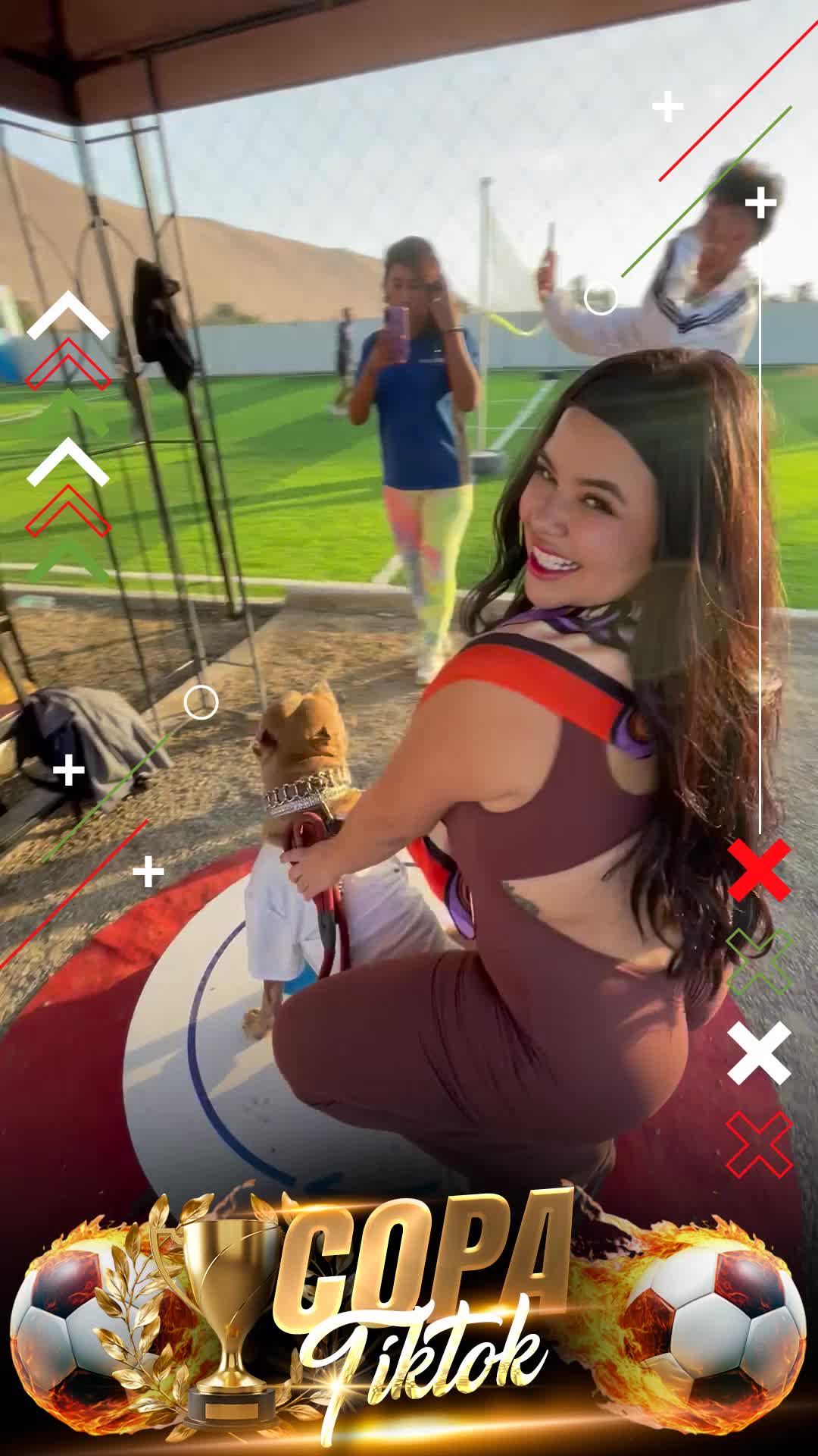 Pichanga Tiktokera