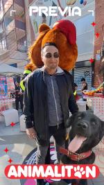 ANIMALITON