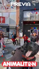 ANIMALITON