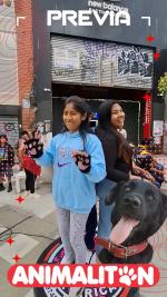 ANIMALITON