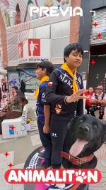 ANIMALITON